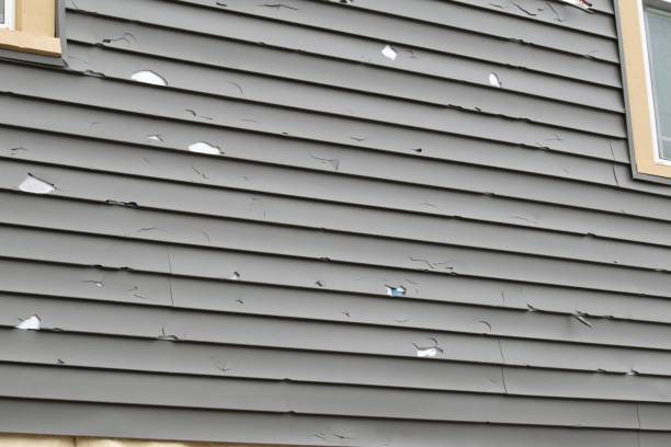Best Custom Siding Design  in Lexico, CA